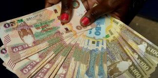 Analysis-To weather Trump, emerging market investors look to the frontier