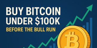 Buy Bitcoin Under $100K Before The Next Bull Run