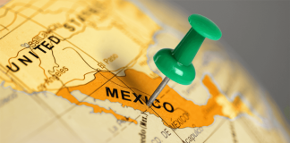 Ten Bodies Found as Mexico Probes January Kidnapping at Vizsla Silver Site